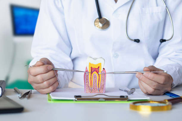 Best Emergency Dentist for Knocked-Out Tooth in Milton, PA